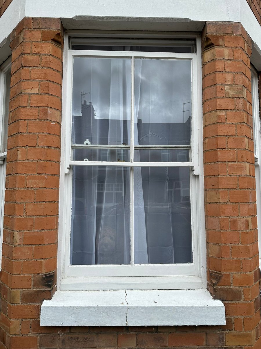 Sash Window Replacement project